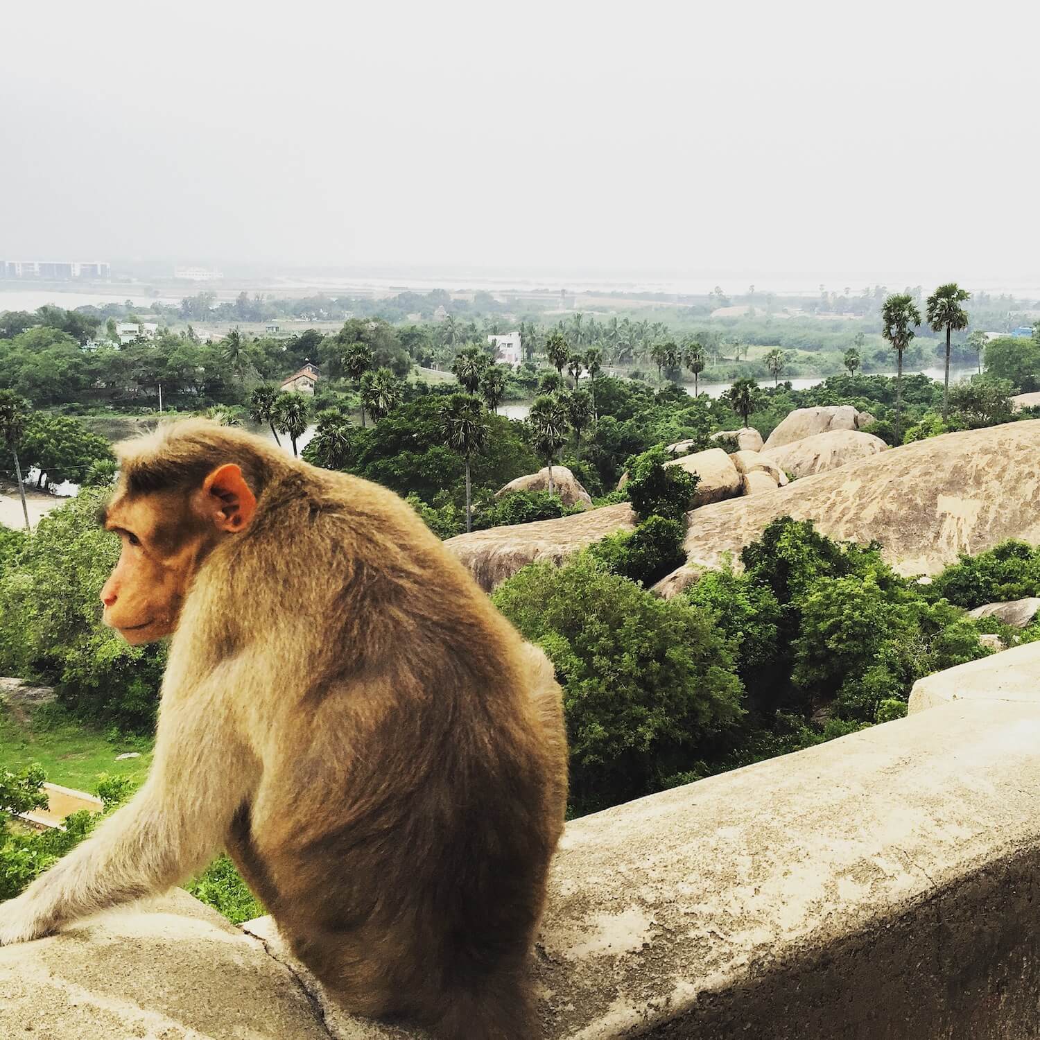 Chennai