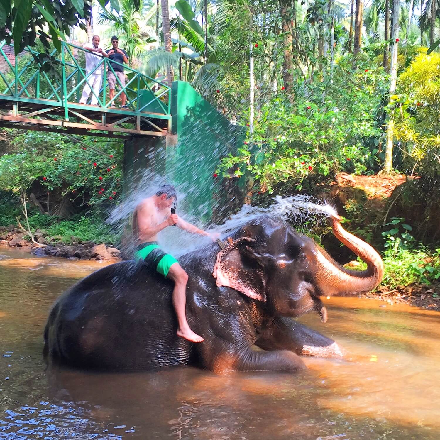 Goa